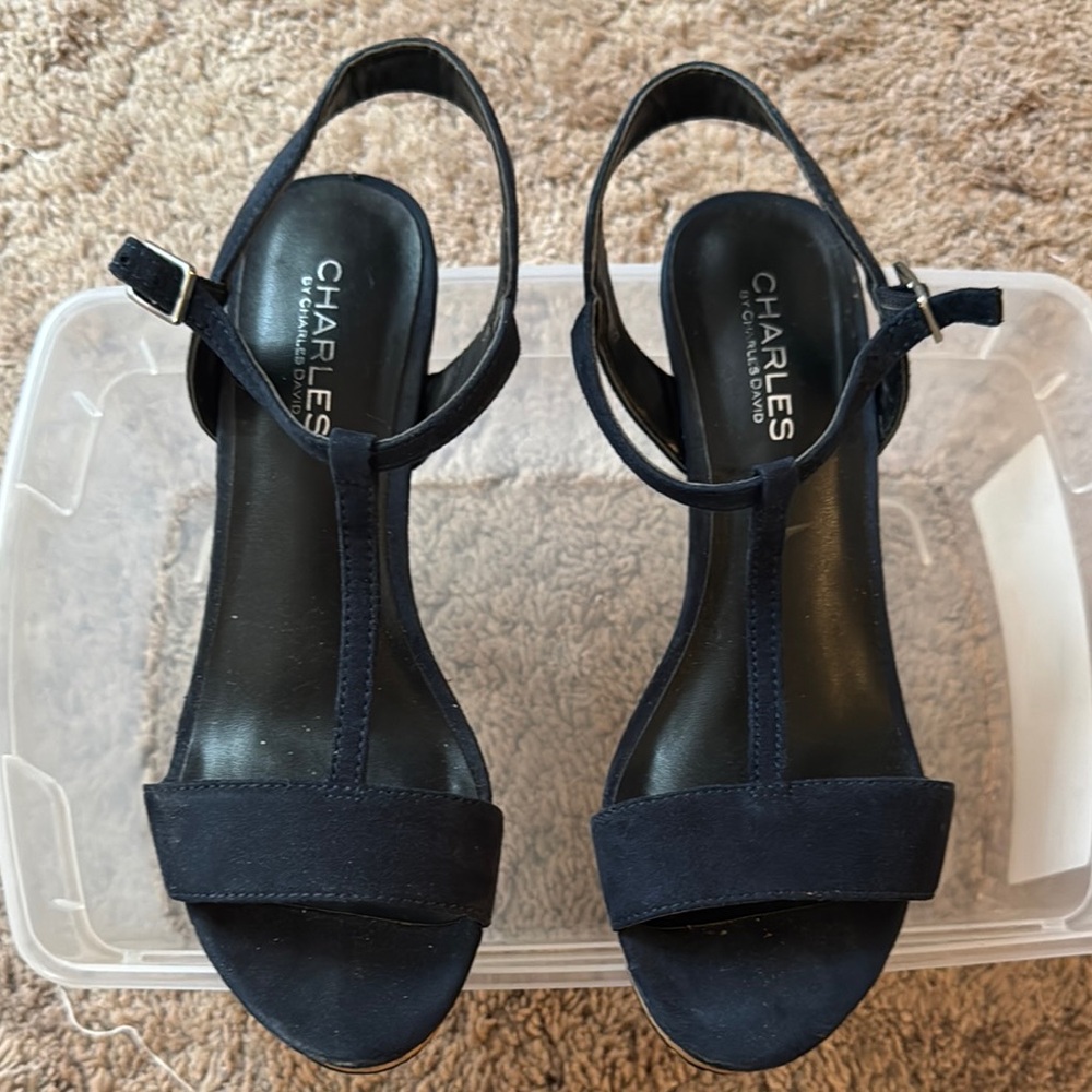 Charles David Navy Heels Elegant Ankle Strap